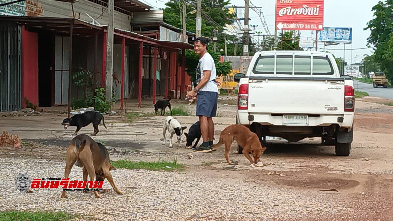 ปราจีนบุรี-ชื่นชมอดีตพระเอกขุนแผน..ให้อาหารน้องหมา 15 ปีทุกๆวัน..สั่งซี่โครงไก่จากร้านค้าราว 200 กก.