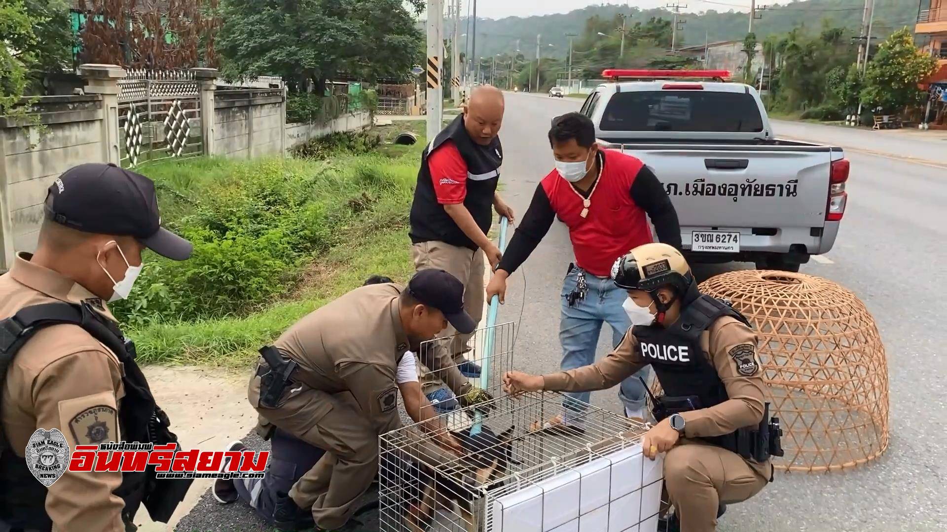 อุทัยธานี-ตำรวจภูธรฯช่วยเหลือสุนัขจรจัด