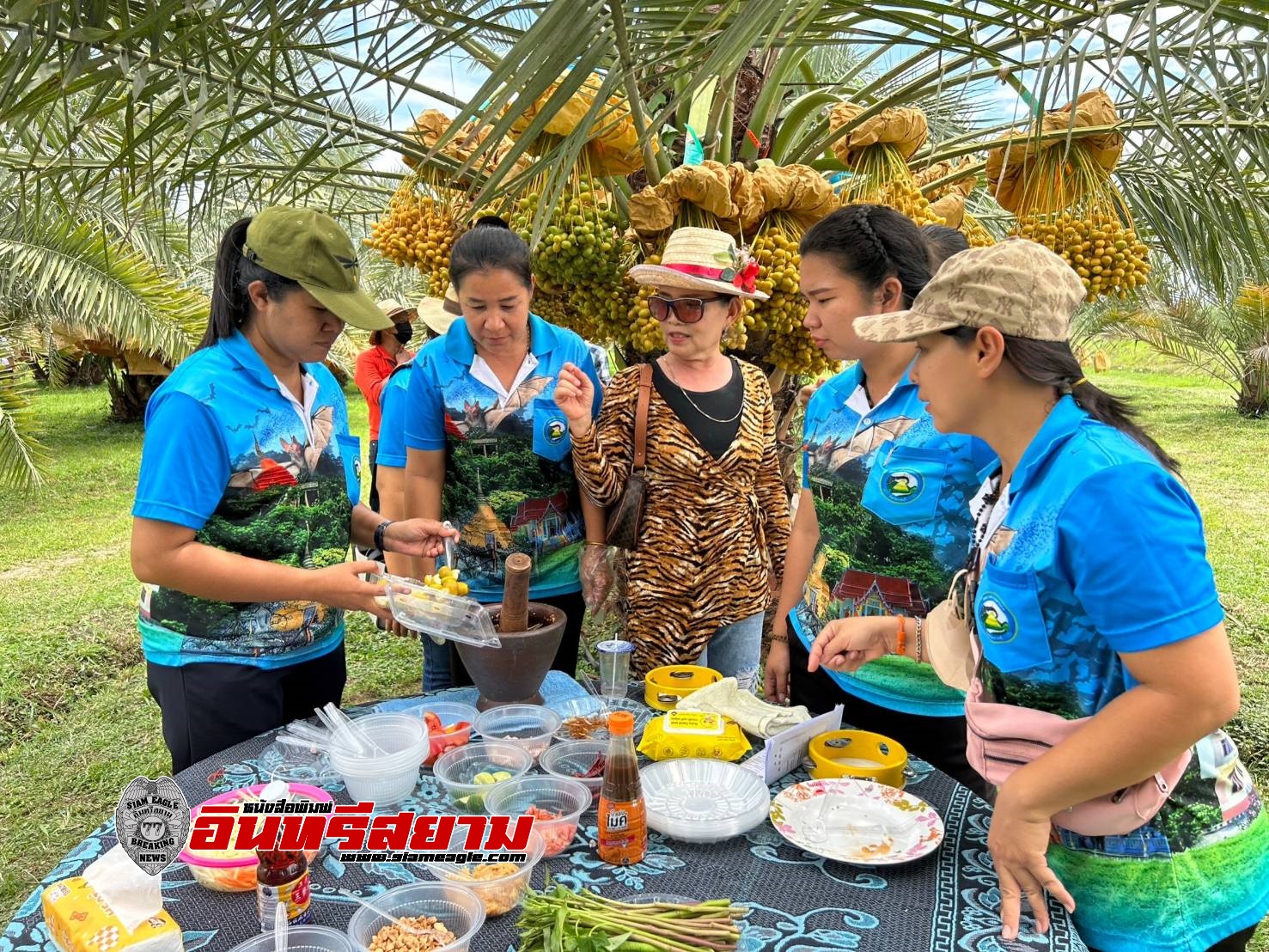 ราชบุรี-นายอำเภอโพธารามเปิด”สวนพิณชาย..”วิสาหกิจชุมชนกลุ่มผู้ปลูกอินทผลัม