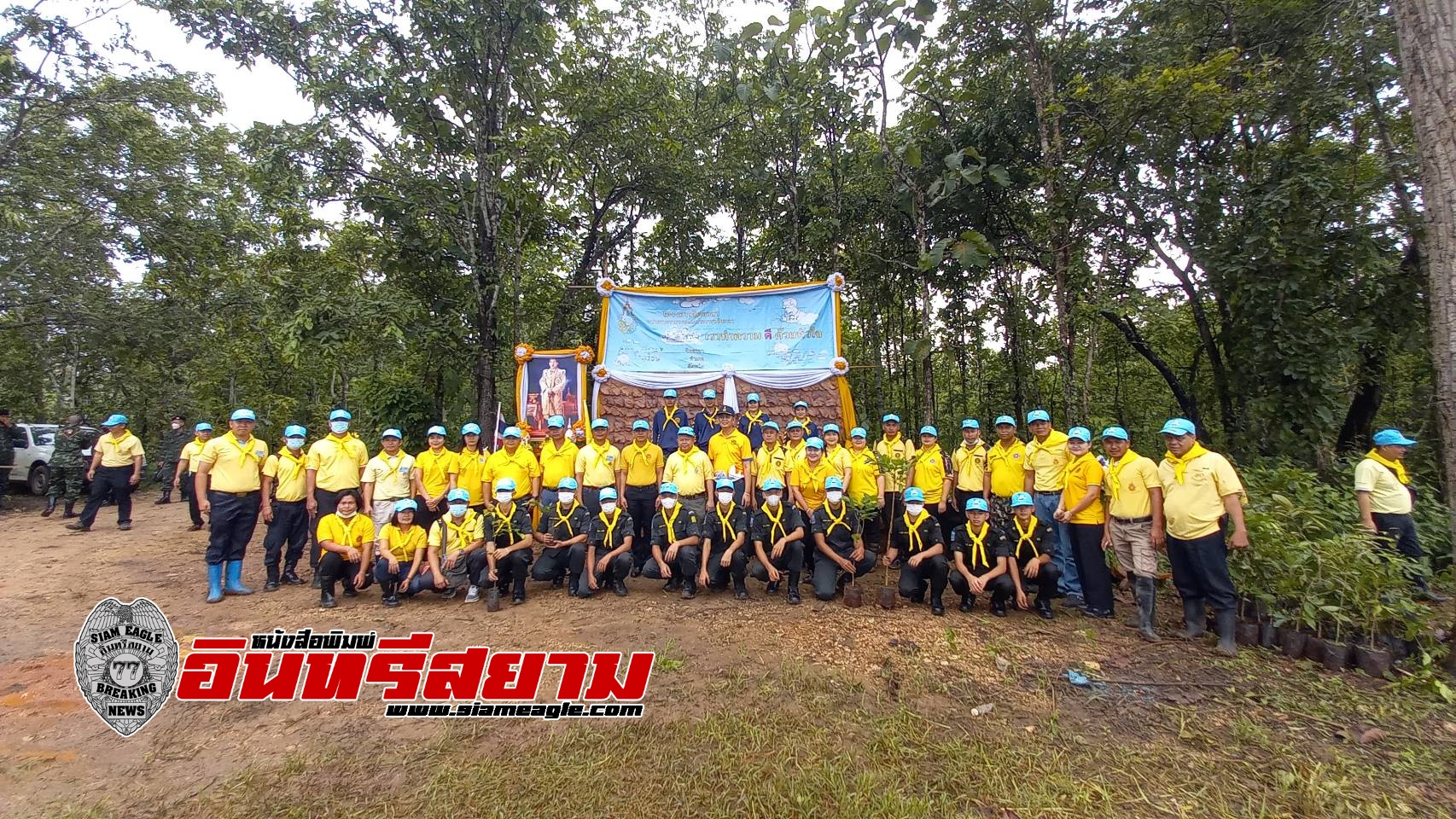 ตาก-ปลูกต้นไม้เพื่อเฉลิมพระเกียรติพระบาทสมเด็จพระเจ้าอยู่หัว