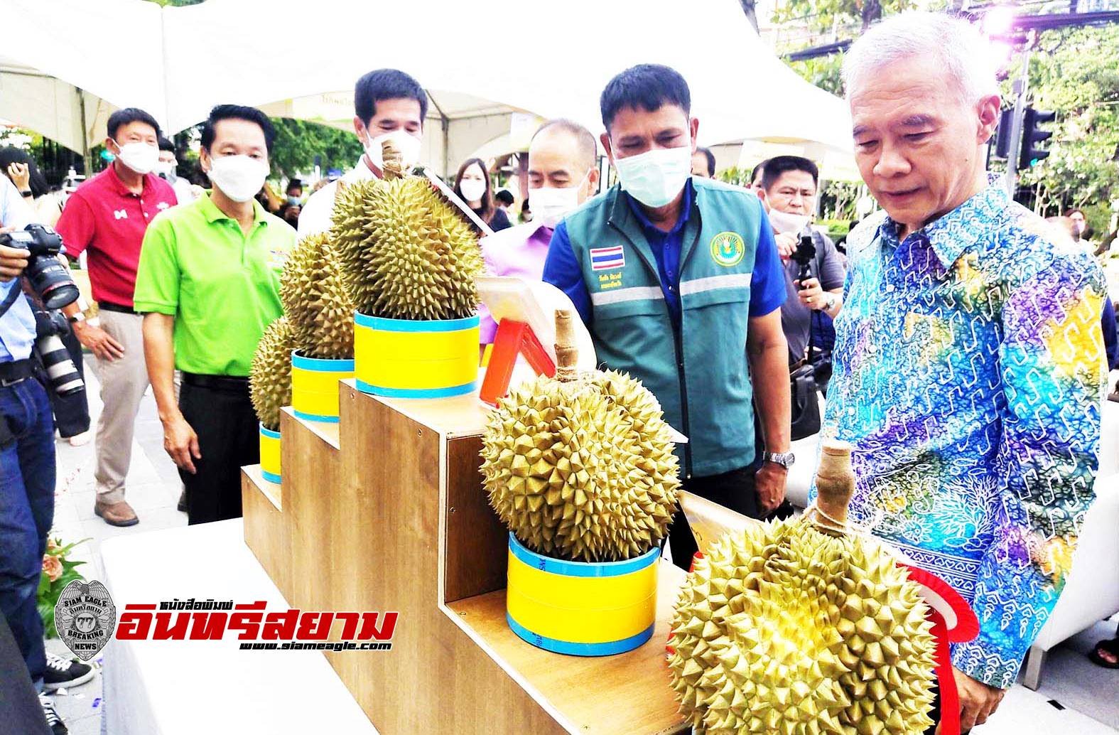 ประจวบคีรีขันธ์-“บลูพอร์ต”จัดเทศกาลผลไม้ “FRUIT&FRESH FAIR 2023”เอาใจคอทุเรียนป่าละอู