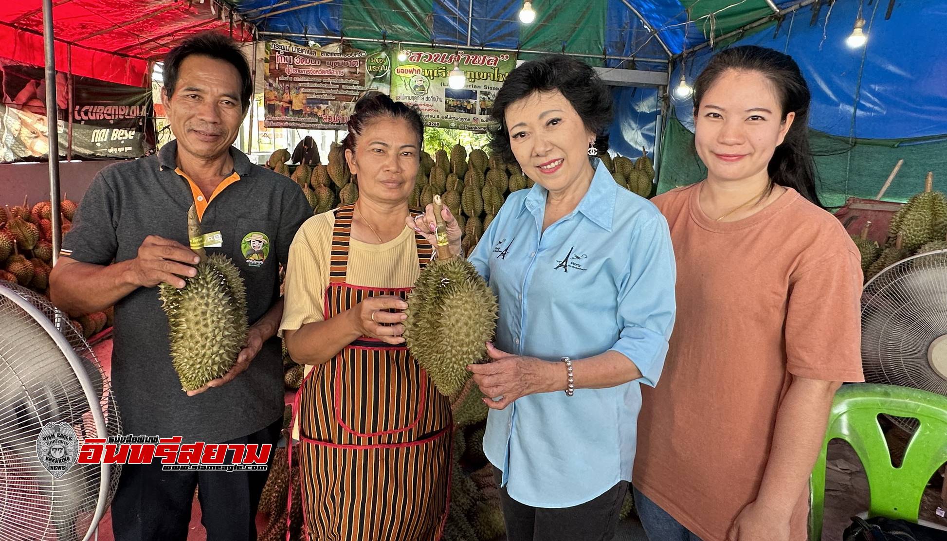 ศรีสะเกษ-เจ้าของ”สวนคำพล”ประกาศตัด”ทุเรียนภูเขาไฟ”ชุดสุดท้ายในวันที่ 5 ส.ค.นี้