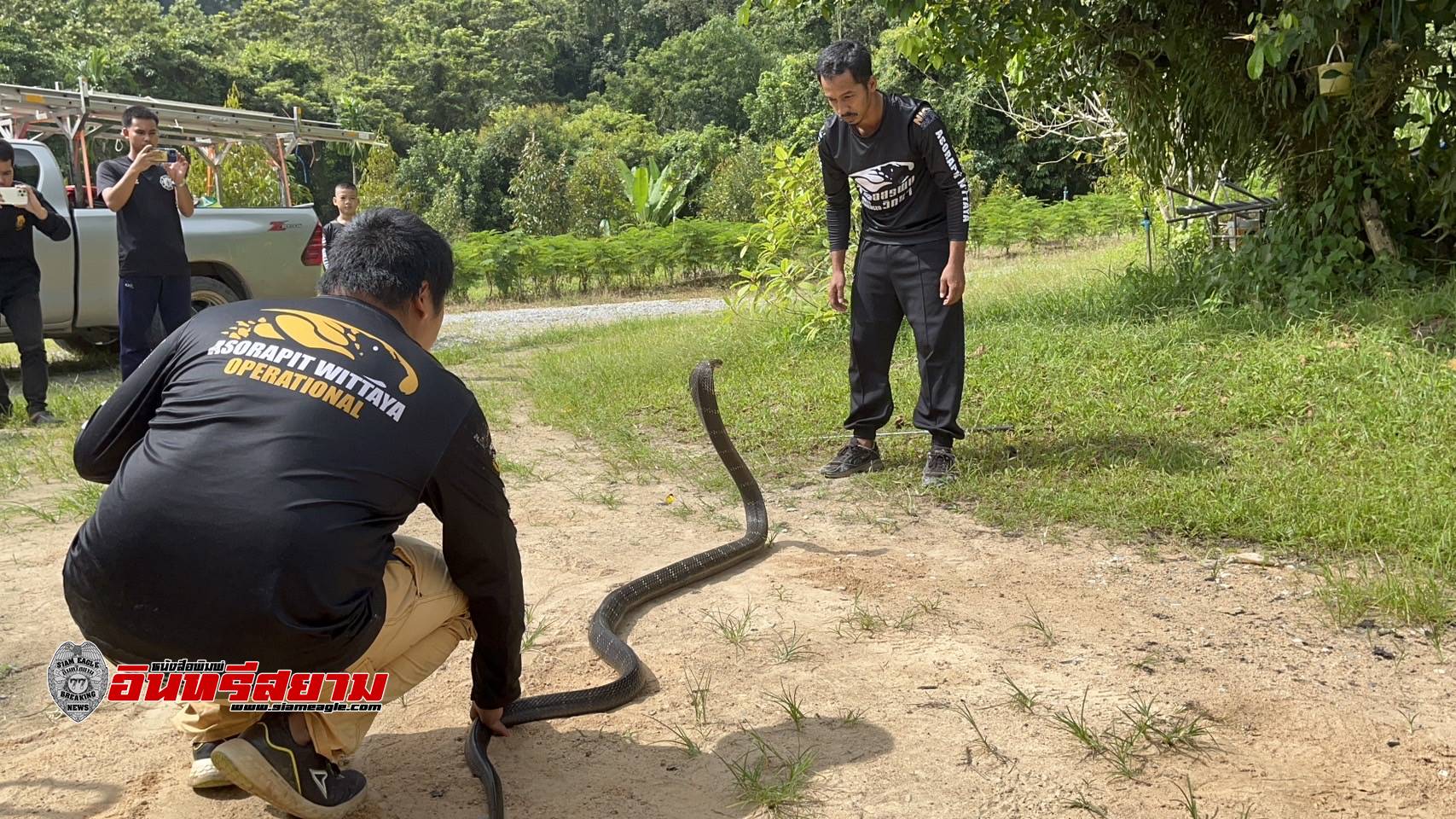 จันทบุรี-งูจงอางยาว 3 เมตรหนีสุนัขซ่อนในห้องเก็บของโรงรถ