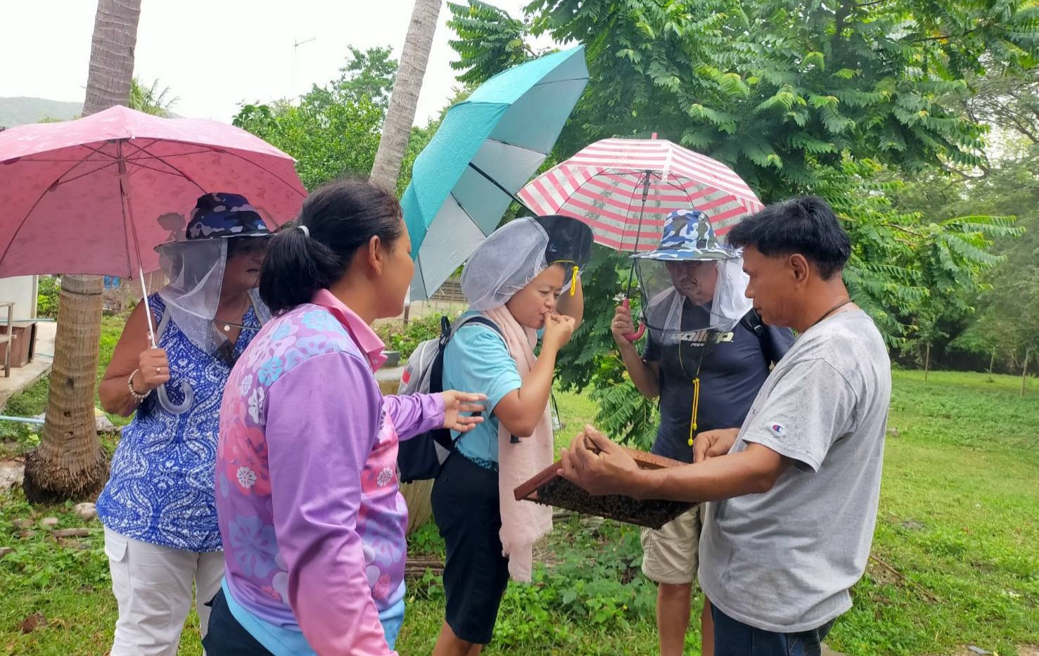 กาญจนบุรี-ครอบครัวชาวเนเธอร์แลนด์ มาศึกษาเรียนรู้กับการเลี้ยงผึ้ง