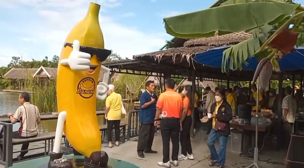 สุพรรณบุรี-นทท.สายเกษตรดูงานสวนกล้วยการปลูกผลิตภัณฑ์แปรรูปชมกล้วยแปลก