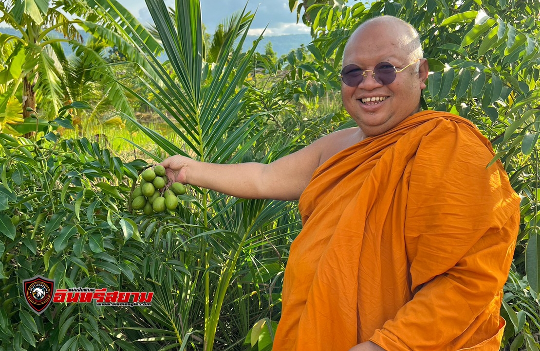 ปลูกแนวคิดโคกหนองนา ปลูกศรัทธาลงแผ่นดิน ยิ่งนานวัน ยิ่งงดงาม