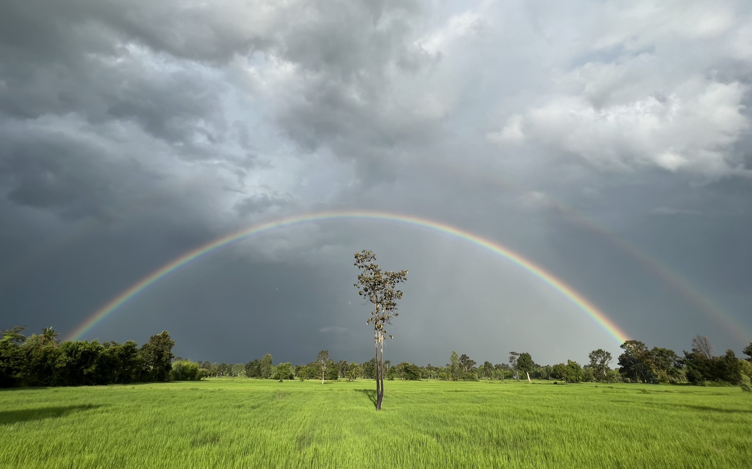 ศรีสะเกษ-ฮือฮารุ้งกินน้ำ 2 วงสวยงามตระการตา