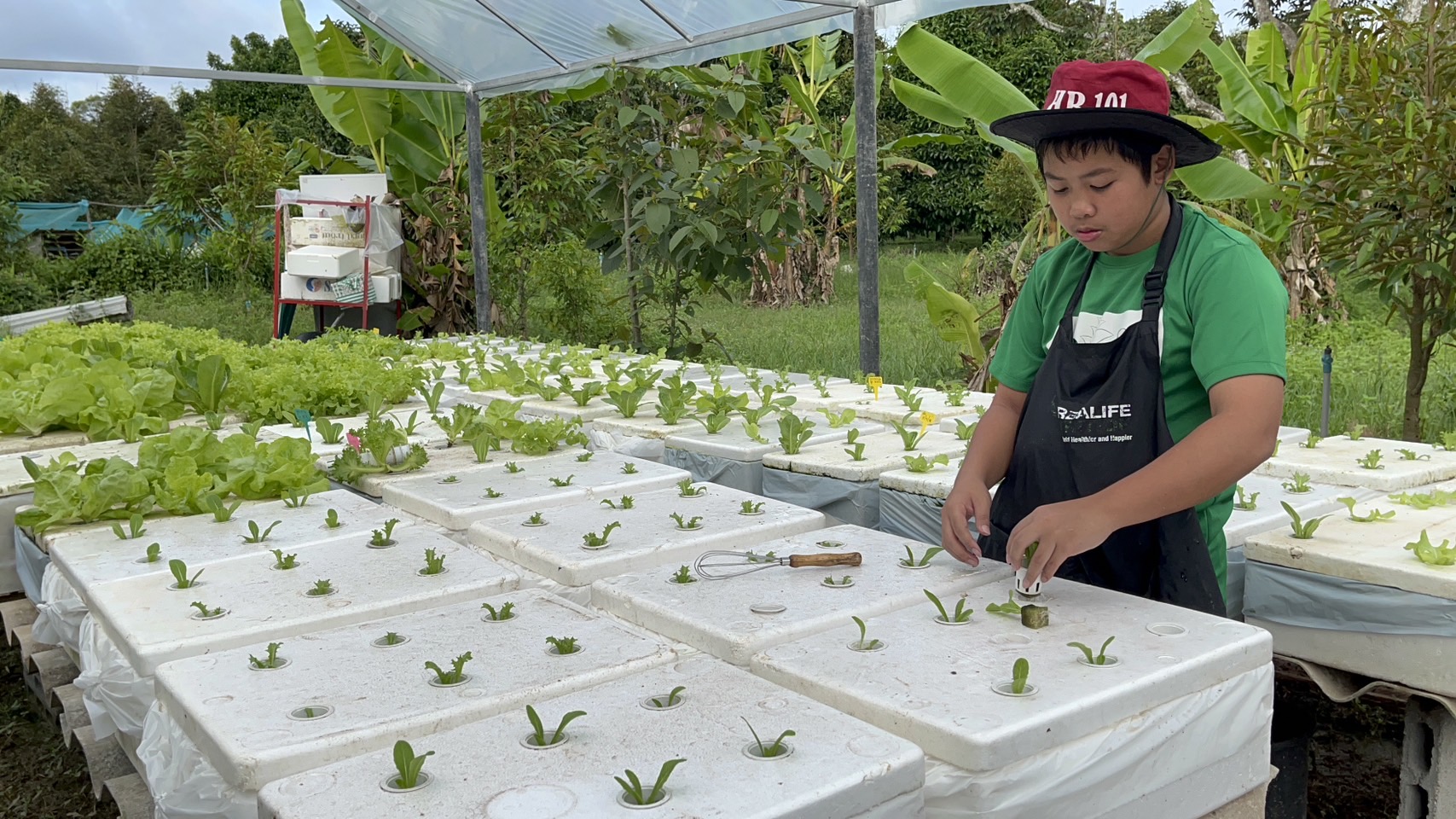 จันทบุรี-ชื่นชมหนูน้อยวัย 14 ปี ใช้เวลาว่างปลูกผักสลัดปลอดสารพิษขายสร้างรายได้