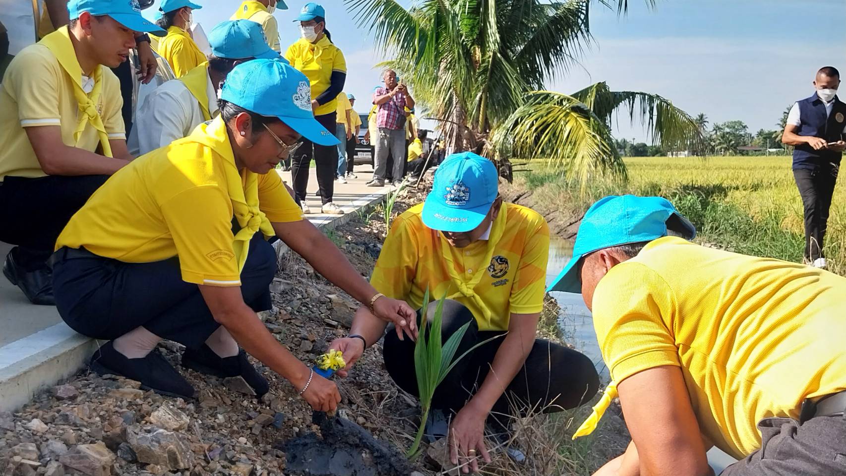 ปทุมธานี-นอภ.ลาดหลุมแก้ว นำจิตอาสาพาปลูกต้นมะพร้าวสร้างความมั่นคงทางอาหารสู่ชุมชน