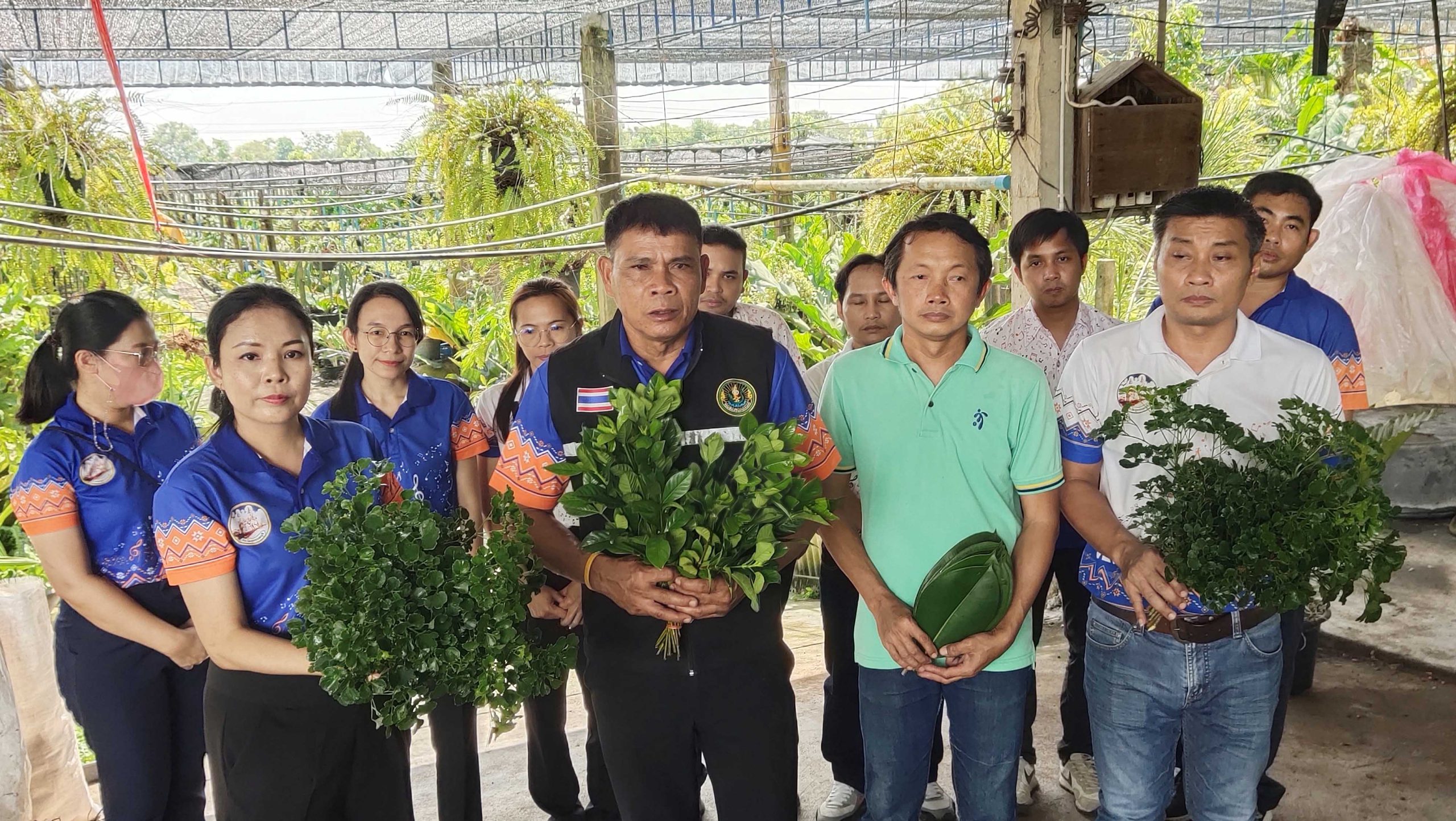 สุพรรณบุรี-หนุ่มสู้ชีวิตทำสวนไม้ประดับไม้ใบขายสร้างรายได้วันร่วมหมื่น