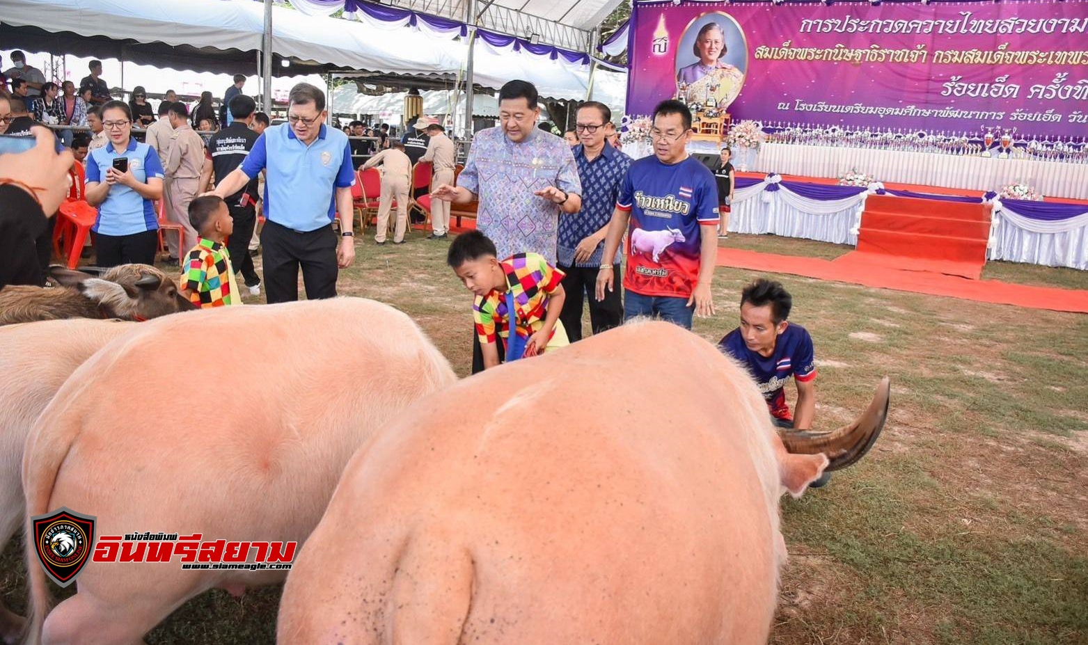 ร้อยเอ็ด-จัดประกวดควายไทยสวยงาม ชิงถ้วยพระราชทาน