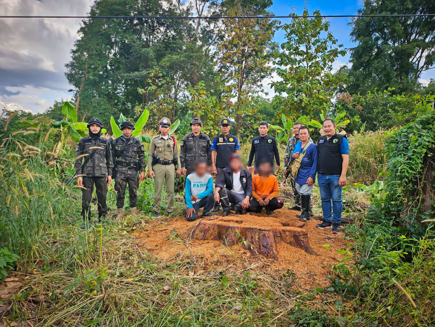 ศรีสะเกษ-ทหารกองกำลังสุรนารีบุกรวบ 3 มอดไม้ลักลอบตัดไม้ประดู่โดยผิดกฎหมาย