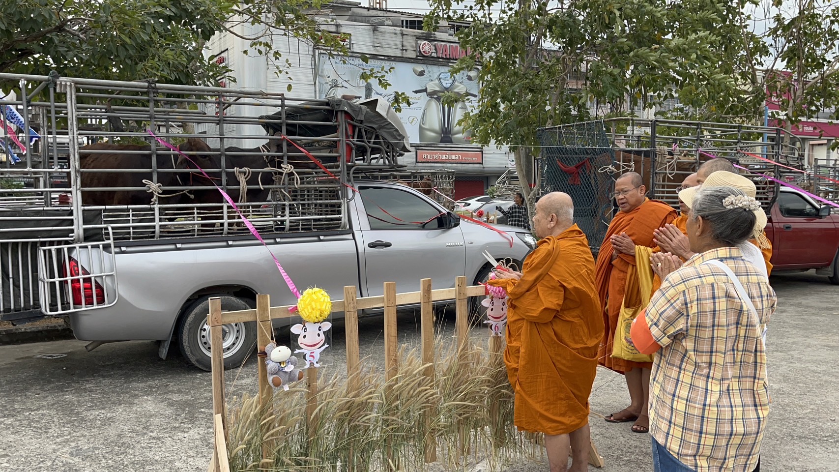 จันทบุรี-จัดโครงการ “มหาทาน” ครั้งยิ่งใหญ่ ไถ่ชีวิตโค กระบือ ปล่อยปลาส่งท้ายปีเก่า ต้อนรับปีใหม่