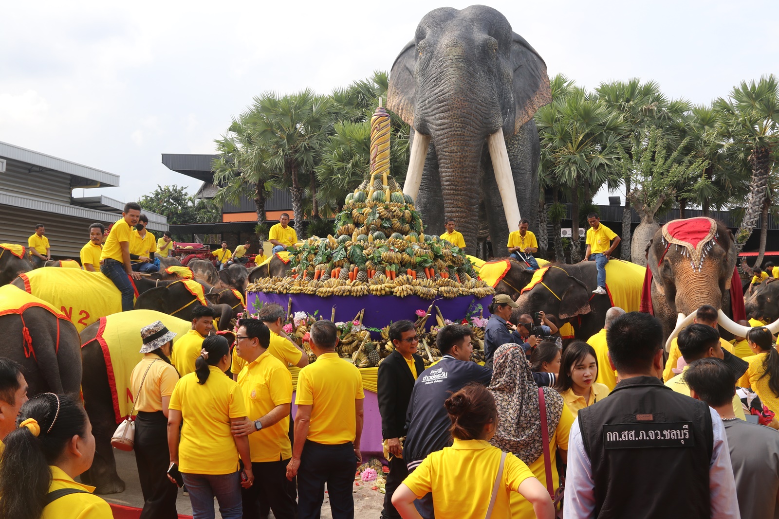 ชลบุรี-สวนนงนุชพัทยา จัดพิธีฮ้องขวัญช้าง และเค้กผลไม้ยักษ์ให้ช้างกว่า 3 ตัน วันช้างไทย