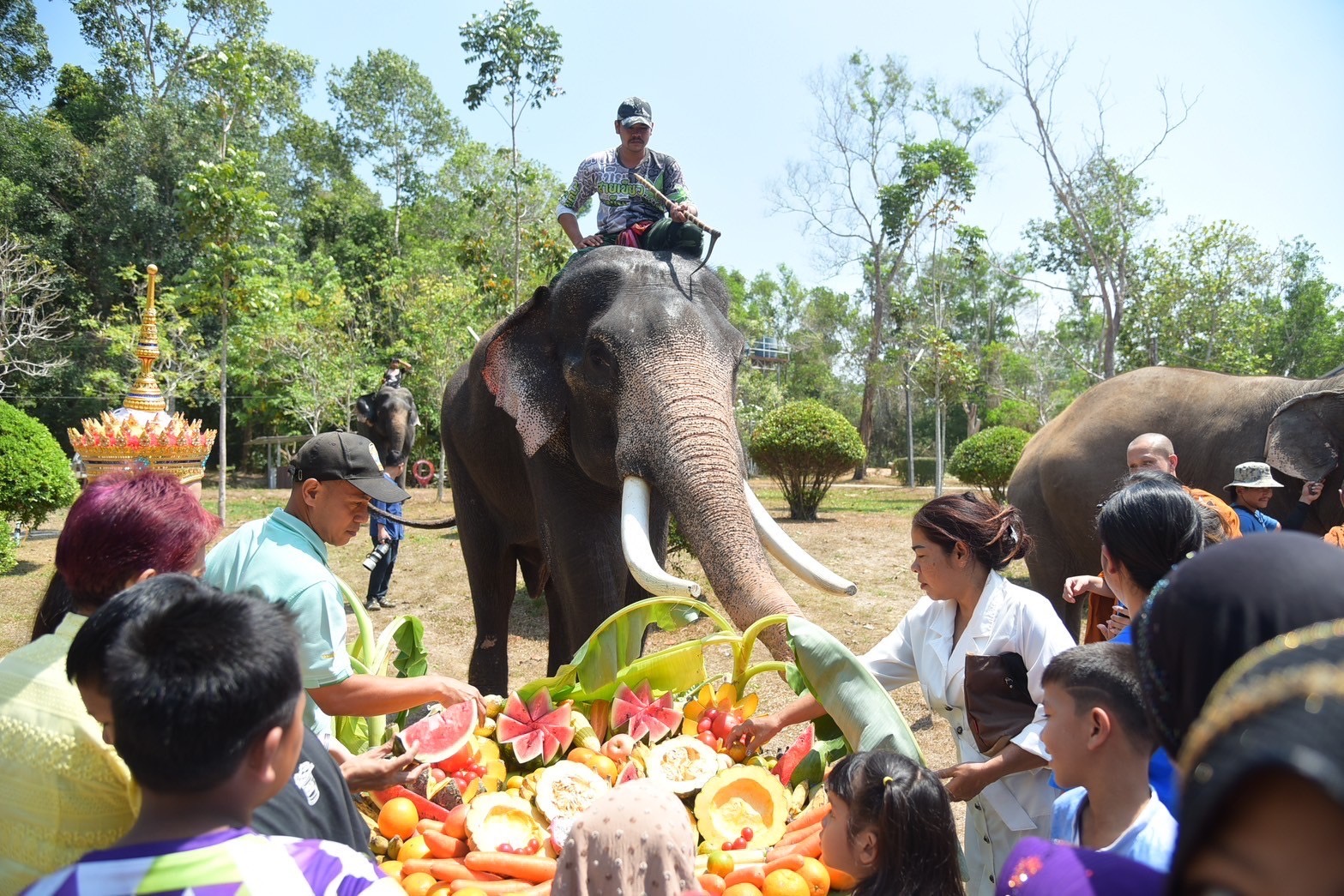 กระบี่-รพ.ช้างกระบี่ จัดกิจกรรมทำบุญเลี้ยงโต๊ะจีนช้างที่เข้ารับการรักษาตัว เนื่องในวันช้างไทย