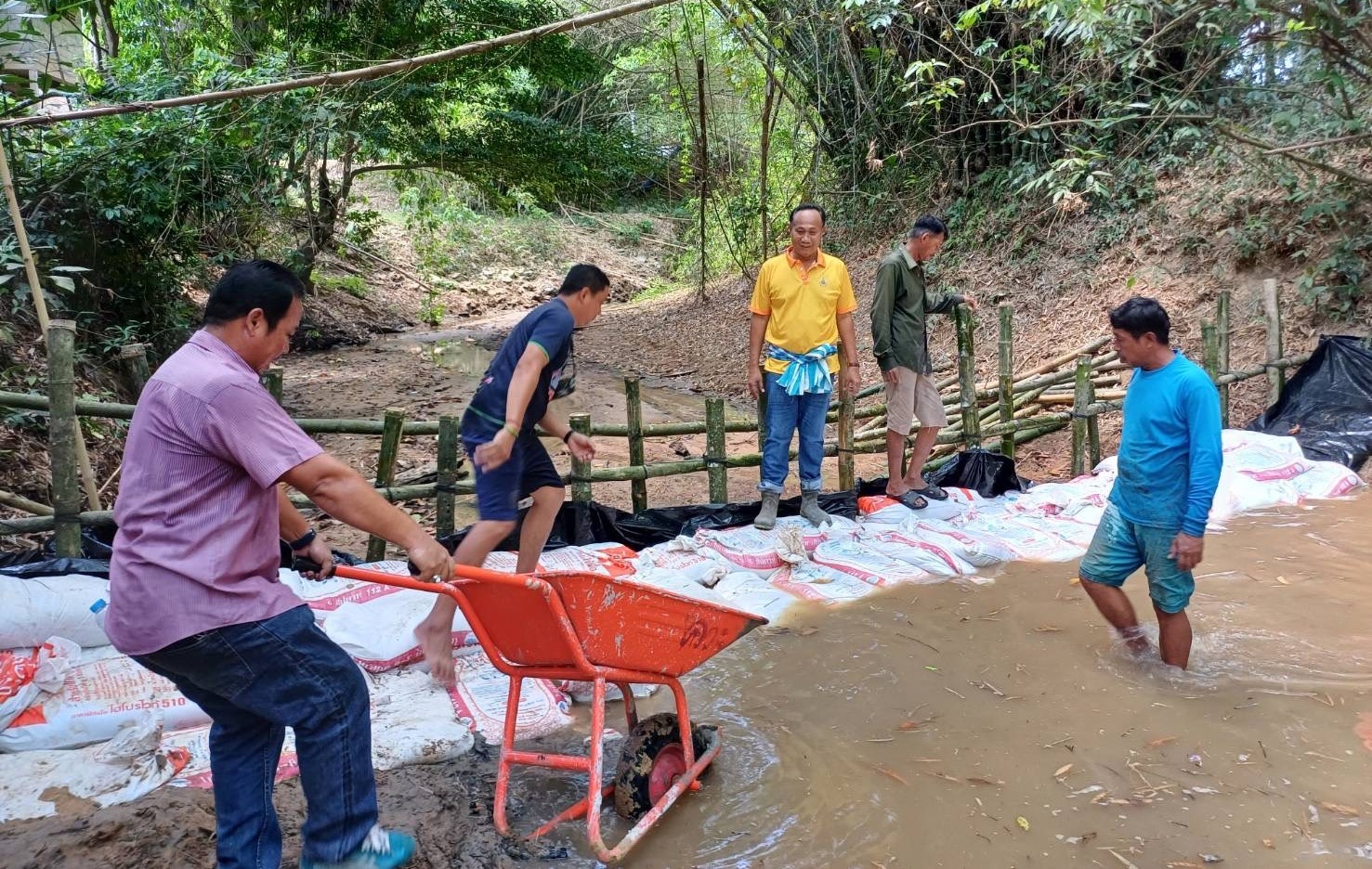 กระบี่-ชาวปกาสัย ลงแรงสร้างฝายเพิ่มปริมาณน้ำในคลองปกาสัย ลดผลกระทบภัยแล้ง