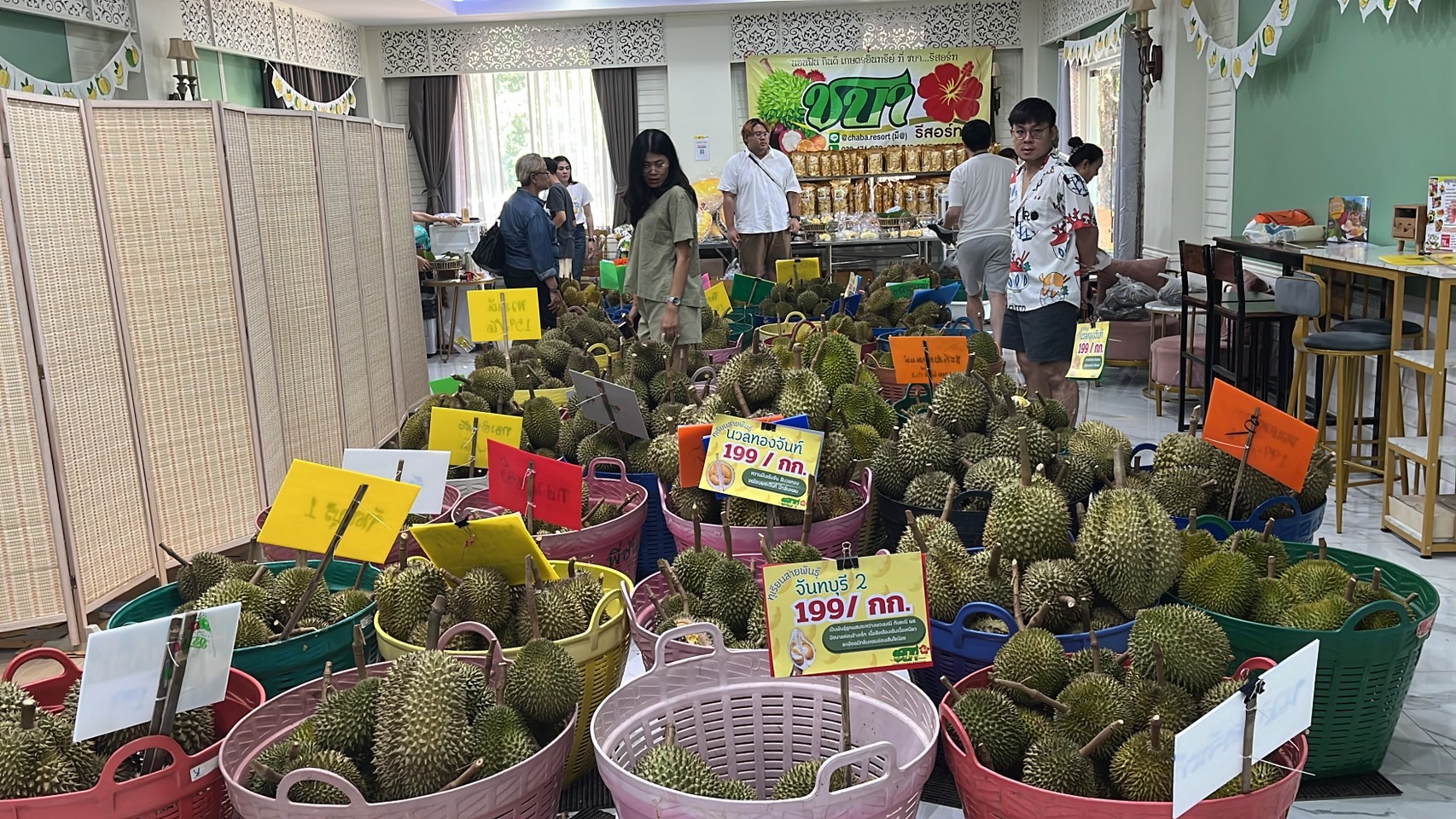 จันทบุรี-นทท.แห่เที่ยวกินทุเรียนเมืองจันท์ ด้านรีสอร์ทดังจัดโปรกินทุเรียนตามน้ำหนักกิโลละ 199 บาท