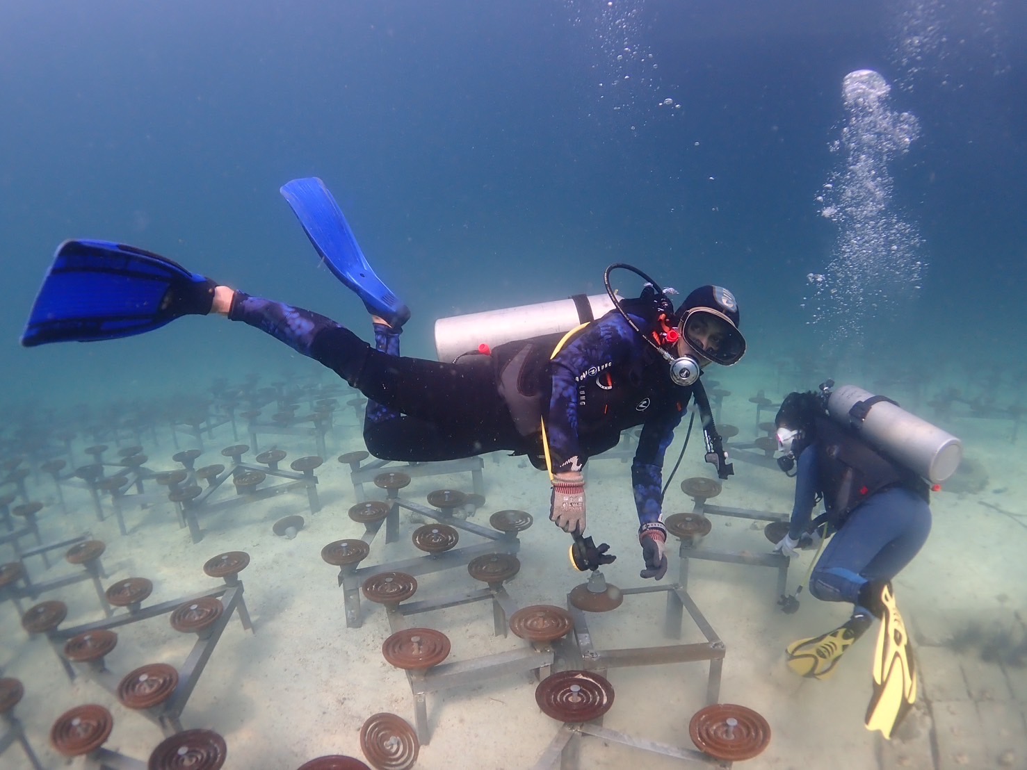 ชลบุรี-วางปะการังเทียมจากลูกถ้วยฉนวนไฟฟ้า ฟื้นฟูระบบนิเวศน์และทรัพยากรทางทะเล