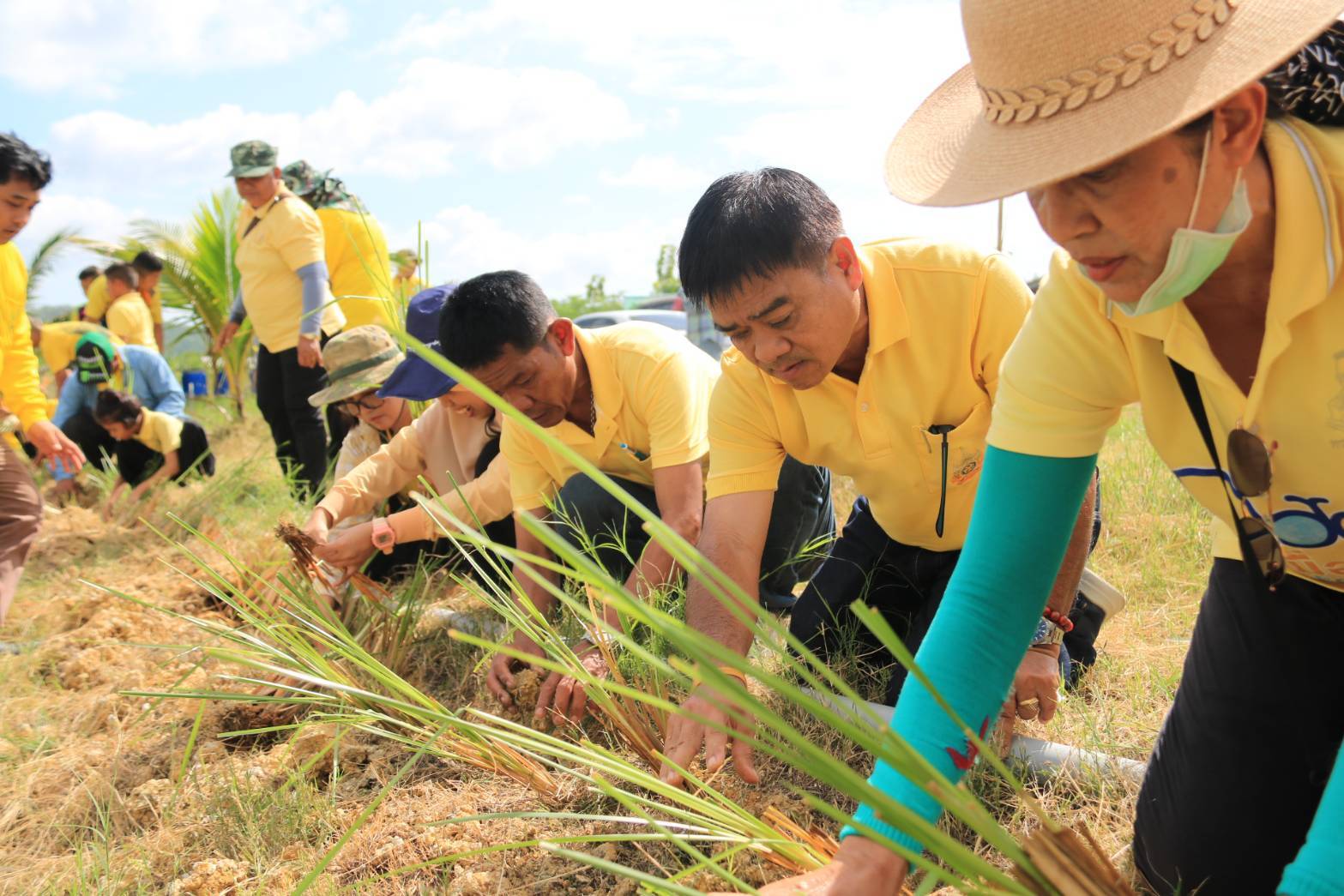 เพชรบุรี-ธนาคารที่ดิน“ปลูกต้นไม้ 1 ล้านต้นฯ”ในโอกาสพระราชพิธีมงคลเฉลิมพระชนมพรรษา 6 รอบ