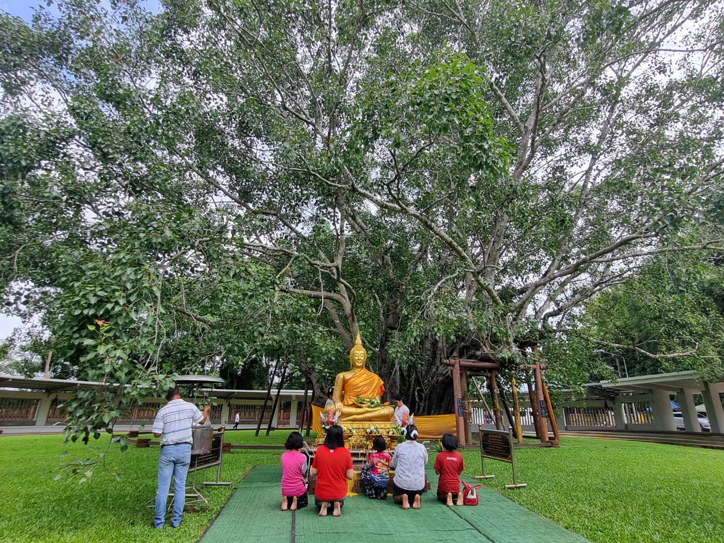 ปราจีนบุรี-นนท.หลั่งไหลเข้าวัดทำบุญ นมัสการต้นพระศรีมหาโพธิ์ อายุกว่า 2,500 ปี