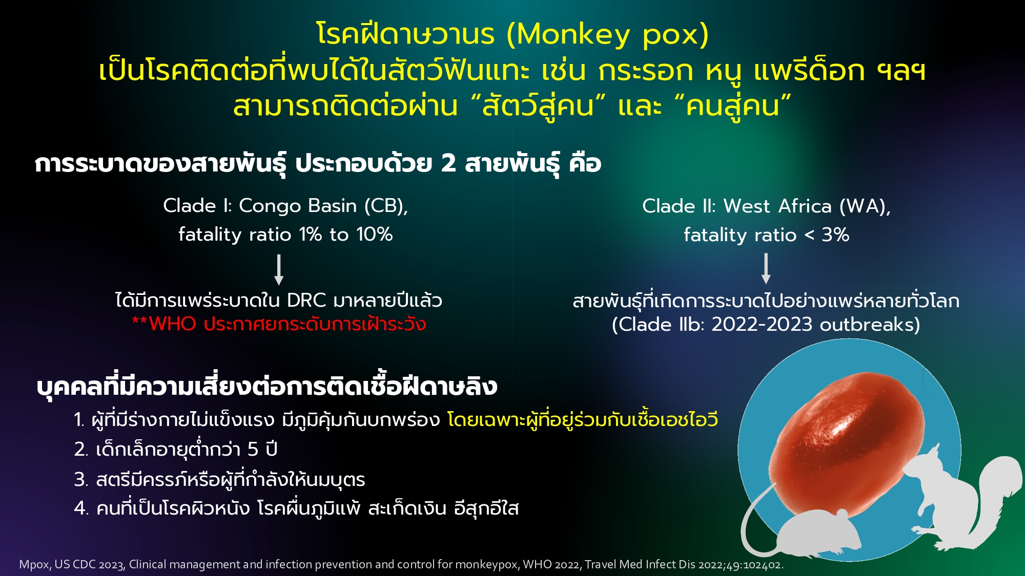 เชียงใหม่-สธ.เตือนประชาชนเฝ้าระวังโรคฝีดาษวานร สายพันธุ์ clade 1b