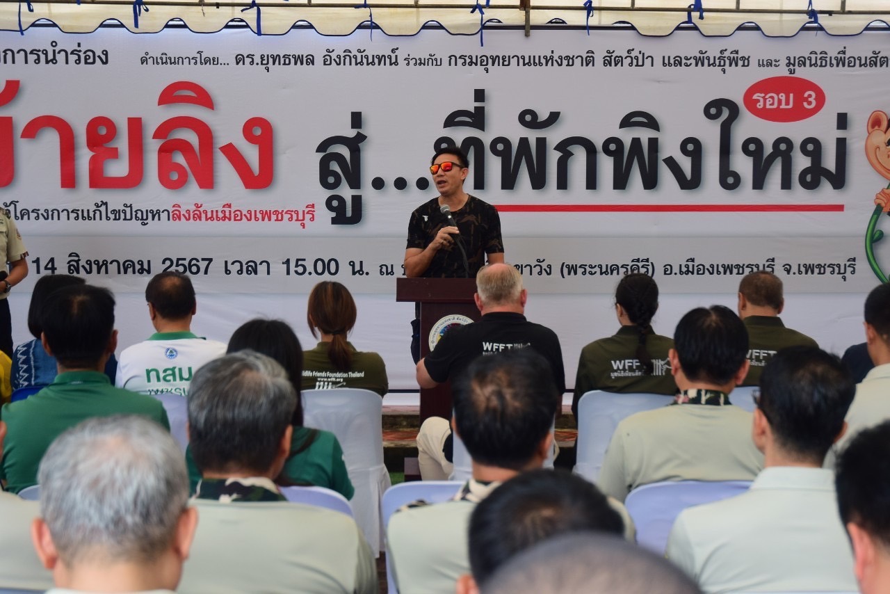 เพชรบุรี-’ยุทธพล‘ วอน “ท้องถิ่น” ร่วมแก้ปัญหา“ลิงล้นเมือง”