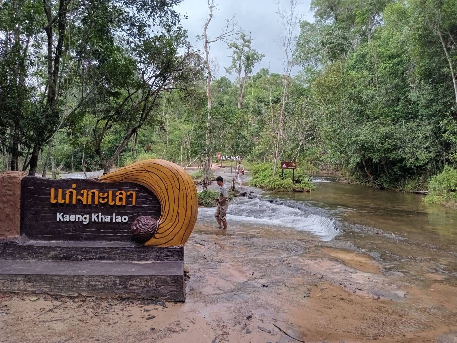 อุบลราชธานี-เที่ยวป่าหน้าฝน ไปยล“น้ำตกห้วยหลวง”ที่อุทยานแห่งชาติภูจองนายอย