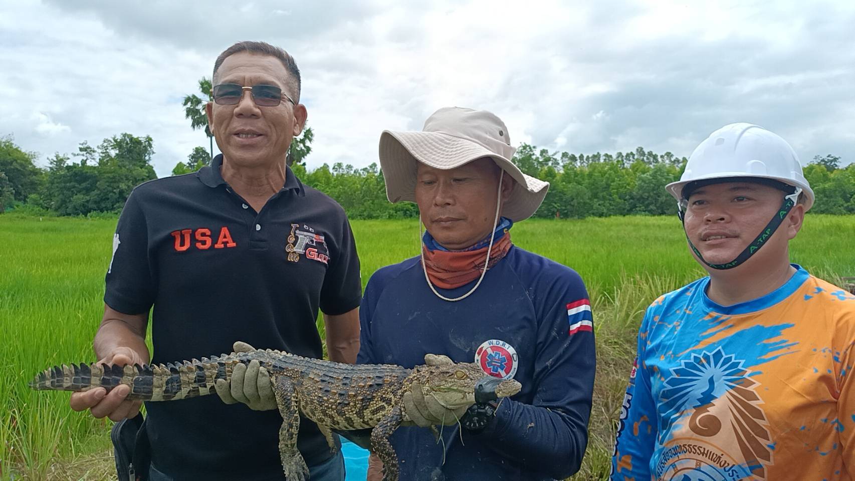 ปราจีนบุรี-จับได้แล้วจระเข้นอนอาบแดดในบ่อปลา