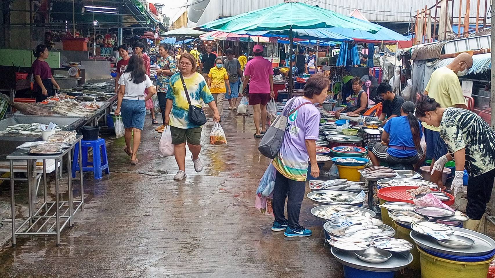 ชลบุรี-นายกสมาคมฯไก่ วอน ครม.ชุดใหม่ ให้ความสำคัญแก้ปัญหาต้นทุนผลิตภาคเกษตรปศุสัตว์