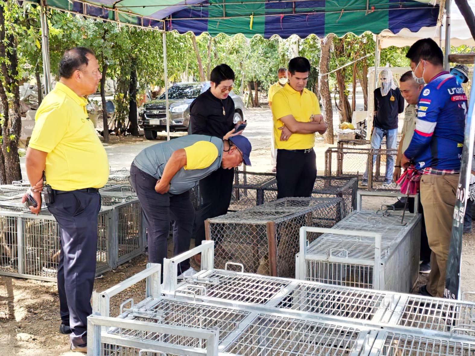 ประจวบคีรีขันธ์-กรมอุทยานฯ เตรียมจับลิงเขาตะเกียบ หลังสร้างสถานที่พักพิงลิงเสร็จ