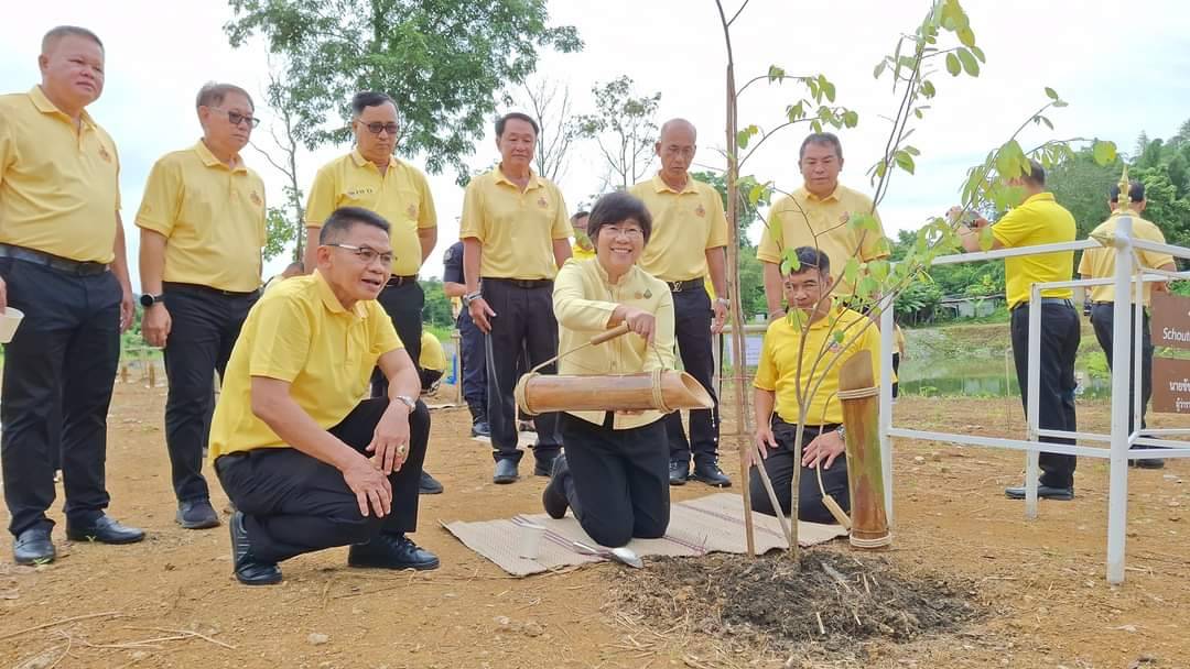 ลำปาง-ทรัพยากรป่าไม้ที่ 3 จัดโครงการบำรุงรักษาต้นไม้