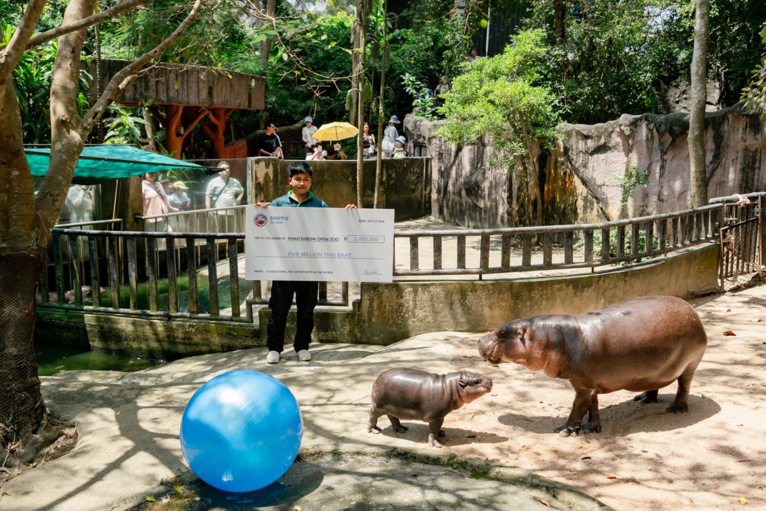 ชลบุรี-นักธุรกิจดูไบ มอบเงิน 5 ล้านบาท สนับสนุน“หมูเด้ง”ฮิปโปแคระแห่งสวนสัตว์เปิดเขาเขียว