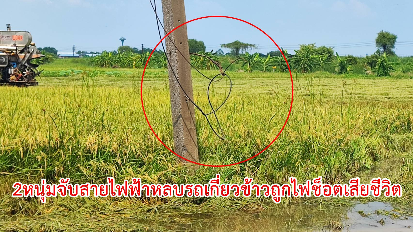 ปทุมธานี-2หนุ่มจับสายไฟฟ้าหลบรถเกี่ยวข้าวถูกไฟช็อตเสียชีวิต