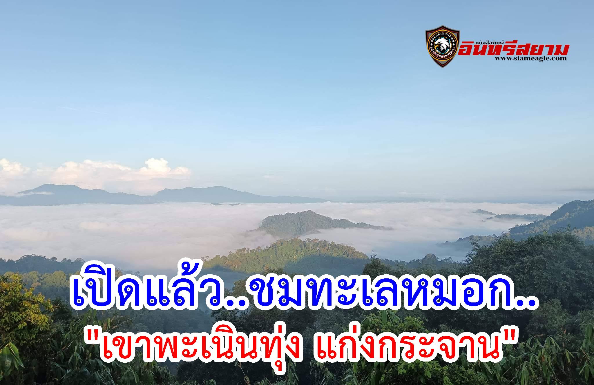 เพชรบุรี-เปิดแล้ว ชมทะเลหมอกร่วมพิสูจน์แสงเขียว เขาพะเนินทุ่ง แก่งกระจาน