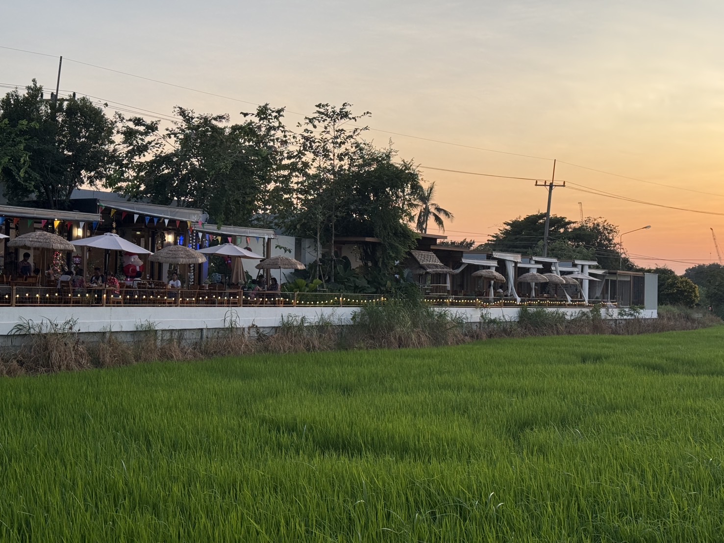 ปทุมธานี-“มะลิคาเฟ่”ร้านอาหารเปิดใหม่ริมทุ่งนาพร้อมดนตรีสดชมวิวสุดฟินใกล้กรุงเทพ