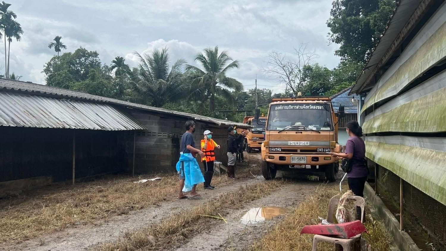 สงขลา-อบจ. สนับสนุนรถขนย้ายซากไก่กว่า 43,000 ตัว หลังตายจากเหตุน้ำทะลักเข้าท่วมฟาร์มฯ