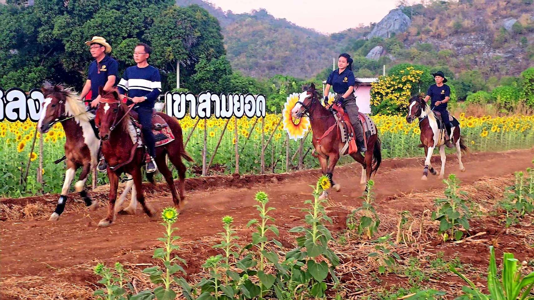 ลพบุรี-สนุกสนานงาน”ท่องเที่ยววิถีไทย สไตล์งานวัด”