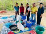 เพชรบุรี-เปิดกิจกรรมลงแขกลงคลองกำจัดปลาหมอคางดำ