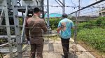 ปทุมธานี-ตาวัย 72 เครียดปัญหารุมเร้ากระโดดเสาสัญญาณโทรศัพท์เสียชีวิต