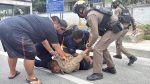 ชลบุรี-วุ่นทั้งชายหาด..หนุ่มเร่ร่อนคลุ้มคลั่งไล่ทำร้ายหญิงชราถูกตีหัวเลือดอาบ..!!